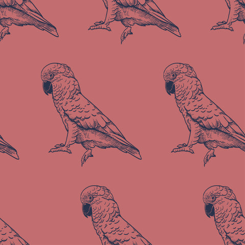 Pink Cocky (Per 1/2 metre)