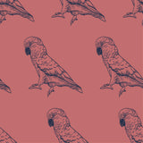 Pink Cocky (Per 1/2 metre)