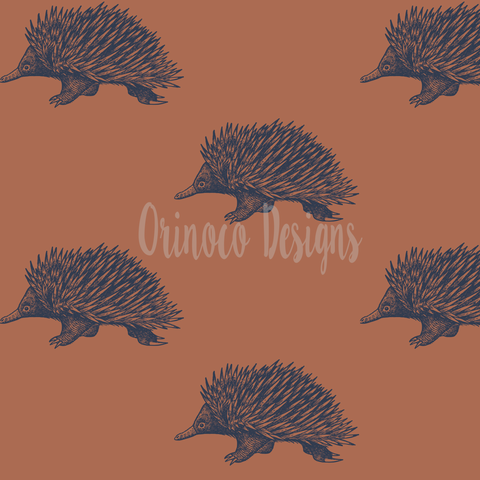 Clay Echidnas (Per 1/2 metre)